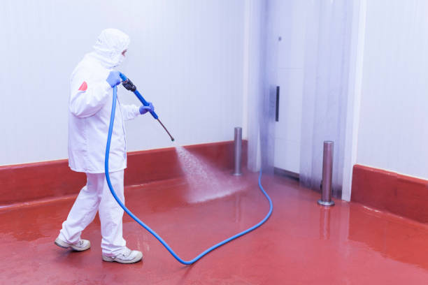 Best Solar Panel Cleaning  in Jeffersonville, IN